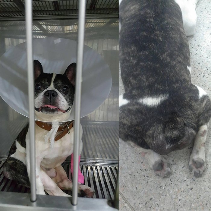 ริโอ คุณปู่เจ้าสำราญ แต่ไหงก้นบานใหญ่ขนาดนั้น ริโอ คุณปู่เจ้าสำราญ แต่ไหงก้นบานใหญ่ขนาดนั้น